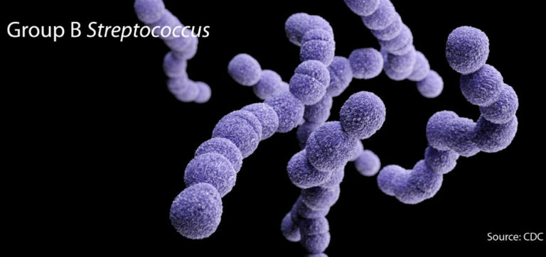 group-b-streptococcus-web-newman-regional-health