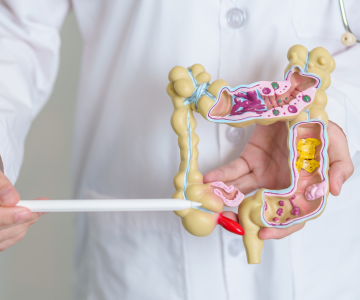 Appendix - Where is it located on the body